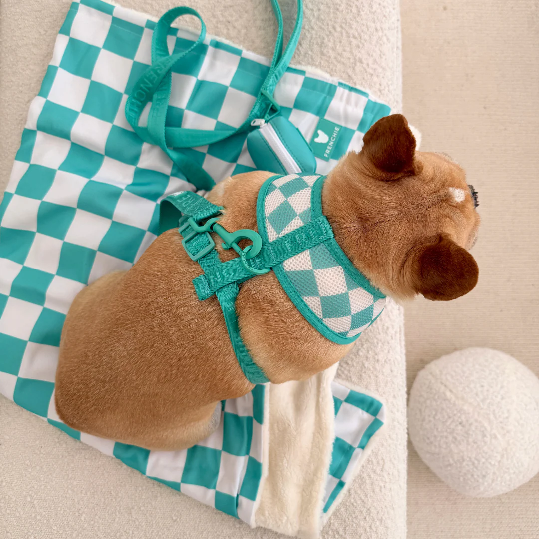 Frenchie Duo Reversible Harness - Solid Aqua - Image 13