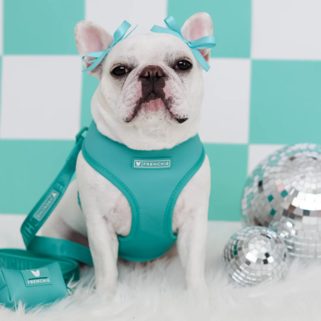 Frenchie Duo Reversible Harness - Solid Aqua - Image 2