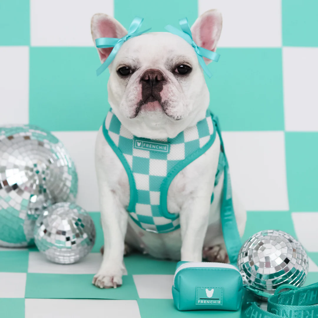 Frenchie Duo Reversible Harness - Solid Aqua - Image 4