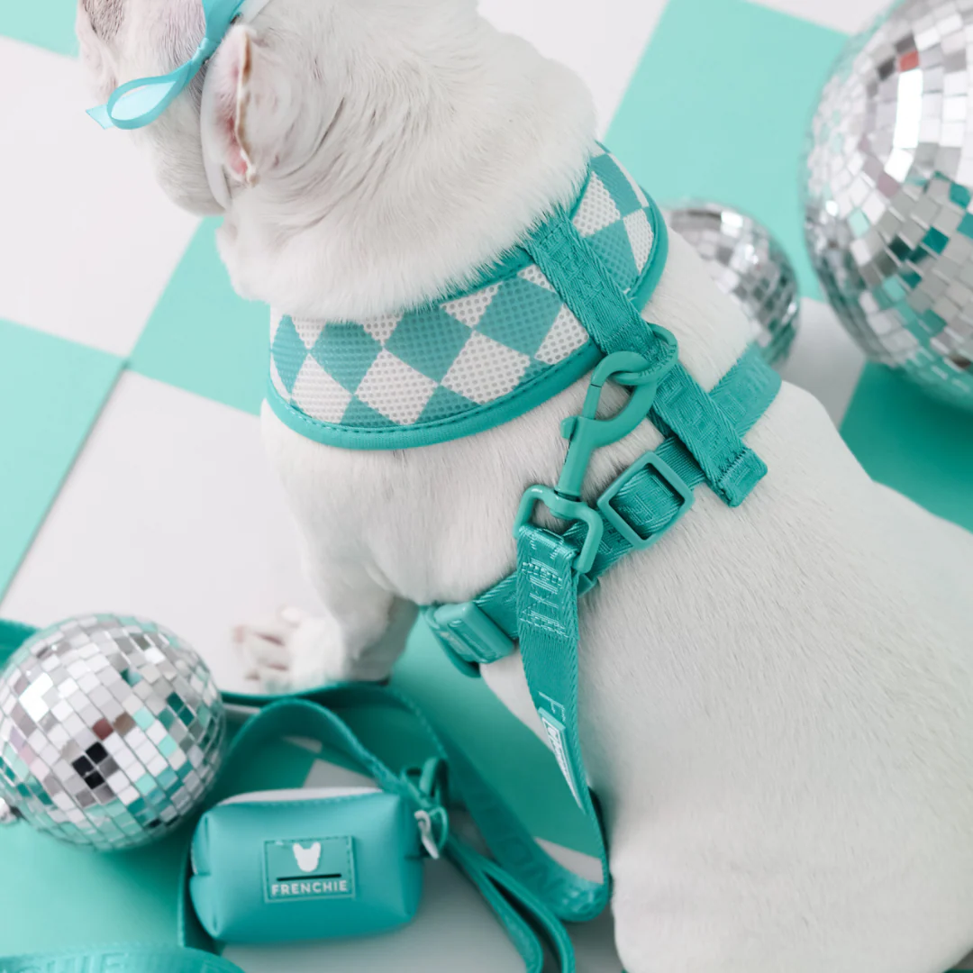 Frenchie Duo Reversible Harness - Solid Aqua - Image 6