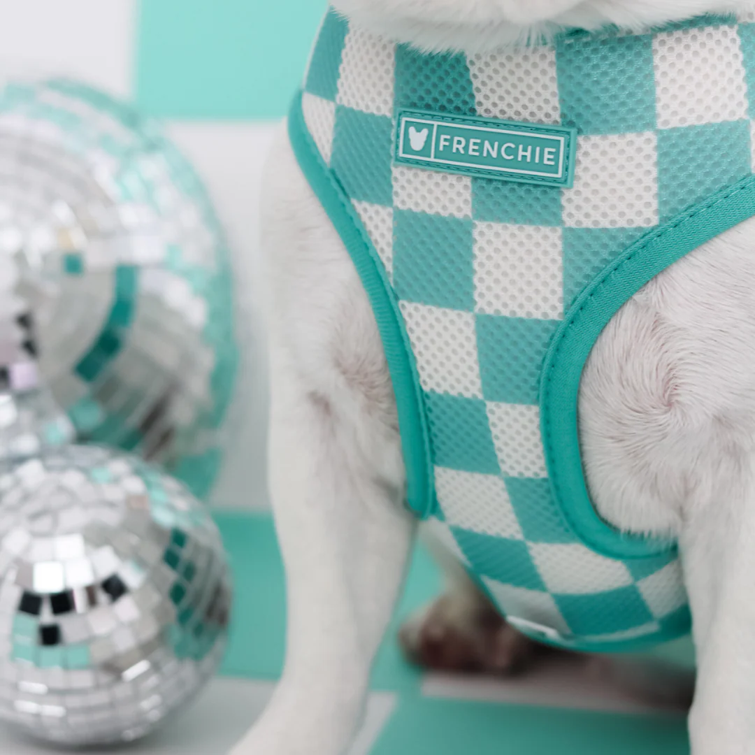 Frenchie Duo Reversible Harness - Solid Aqua - Image 9