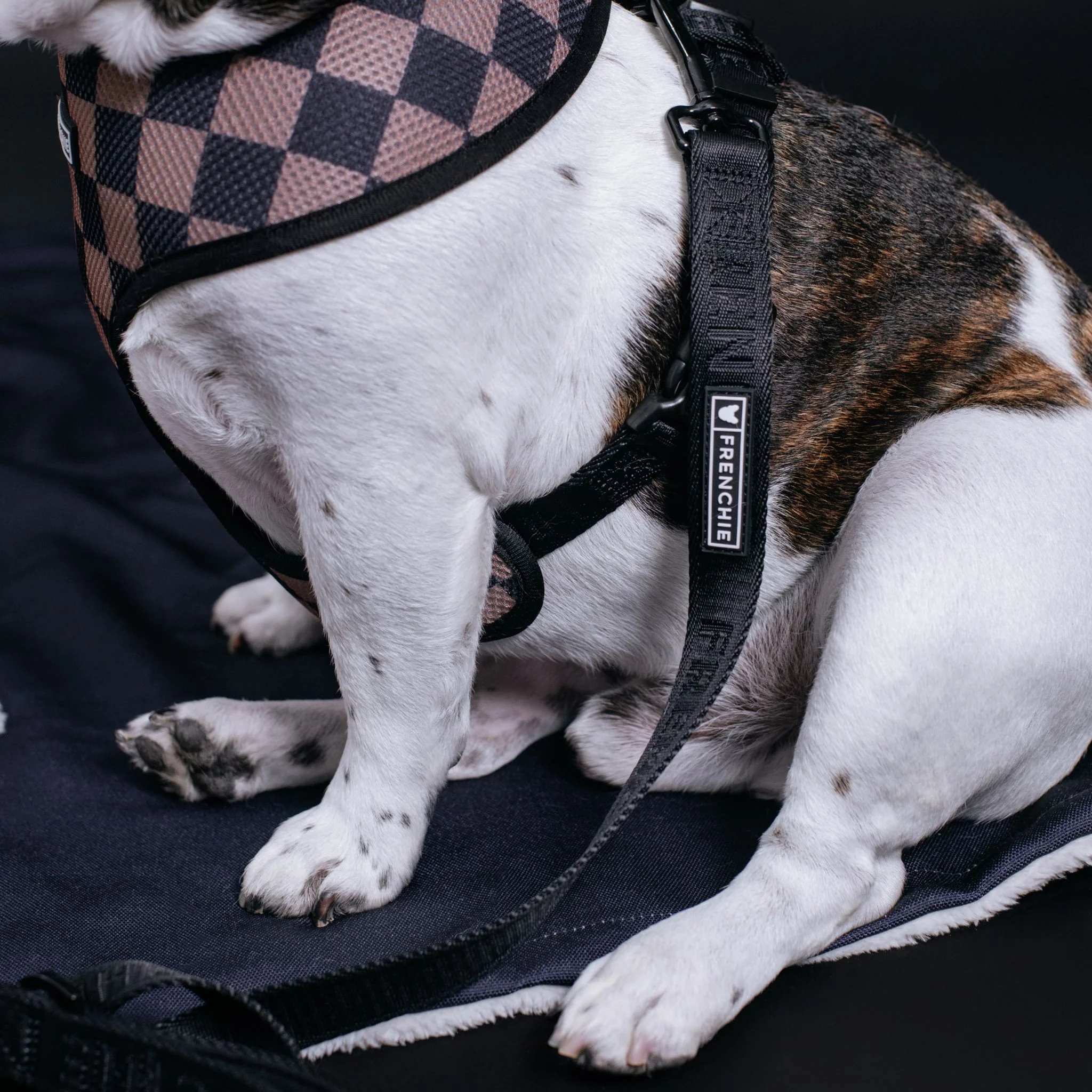 Frenchie Duo Reversible Harness - Solid Black - Image 4