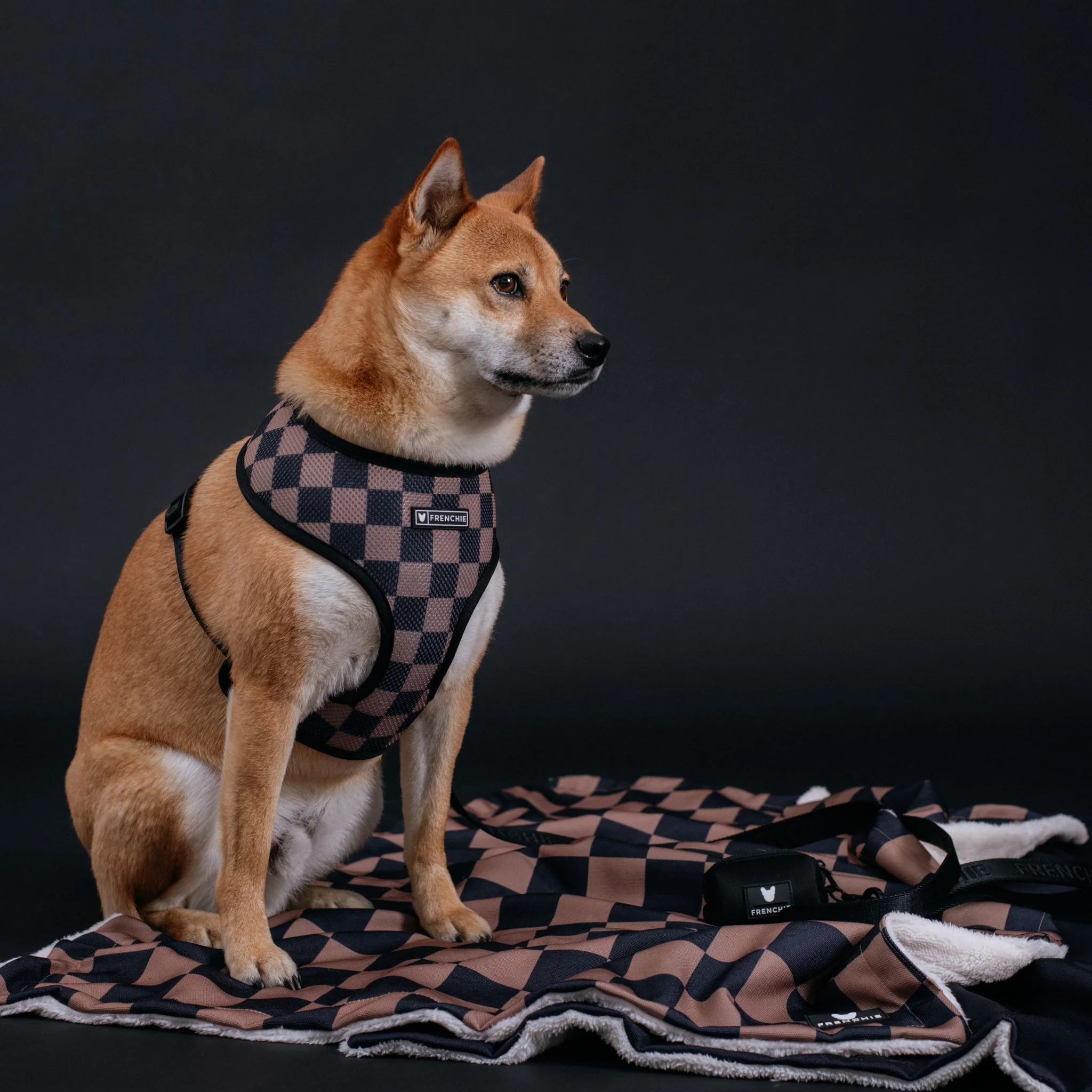 Frenchie Duo Reversible Harness - Solid Black - Image 5