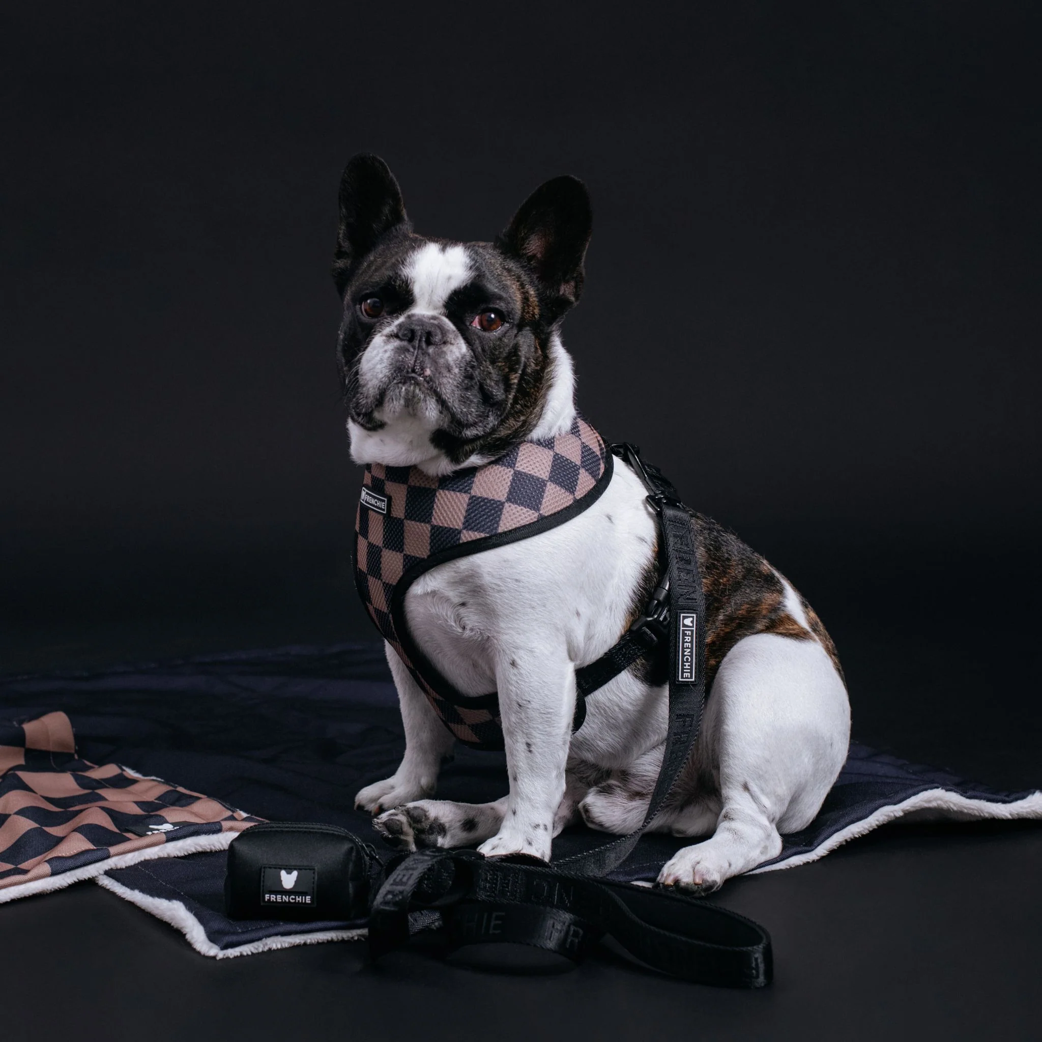 Frenchie Duo Reversible Harness - Solid Black - Image 6