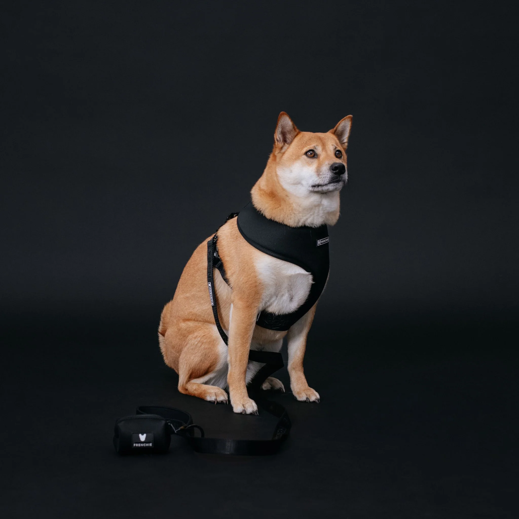 Frenchie Duo Reversible Harness - Solid Black - Image 7