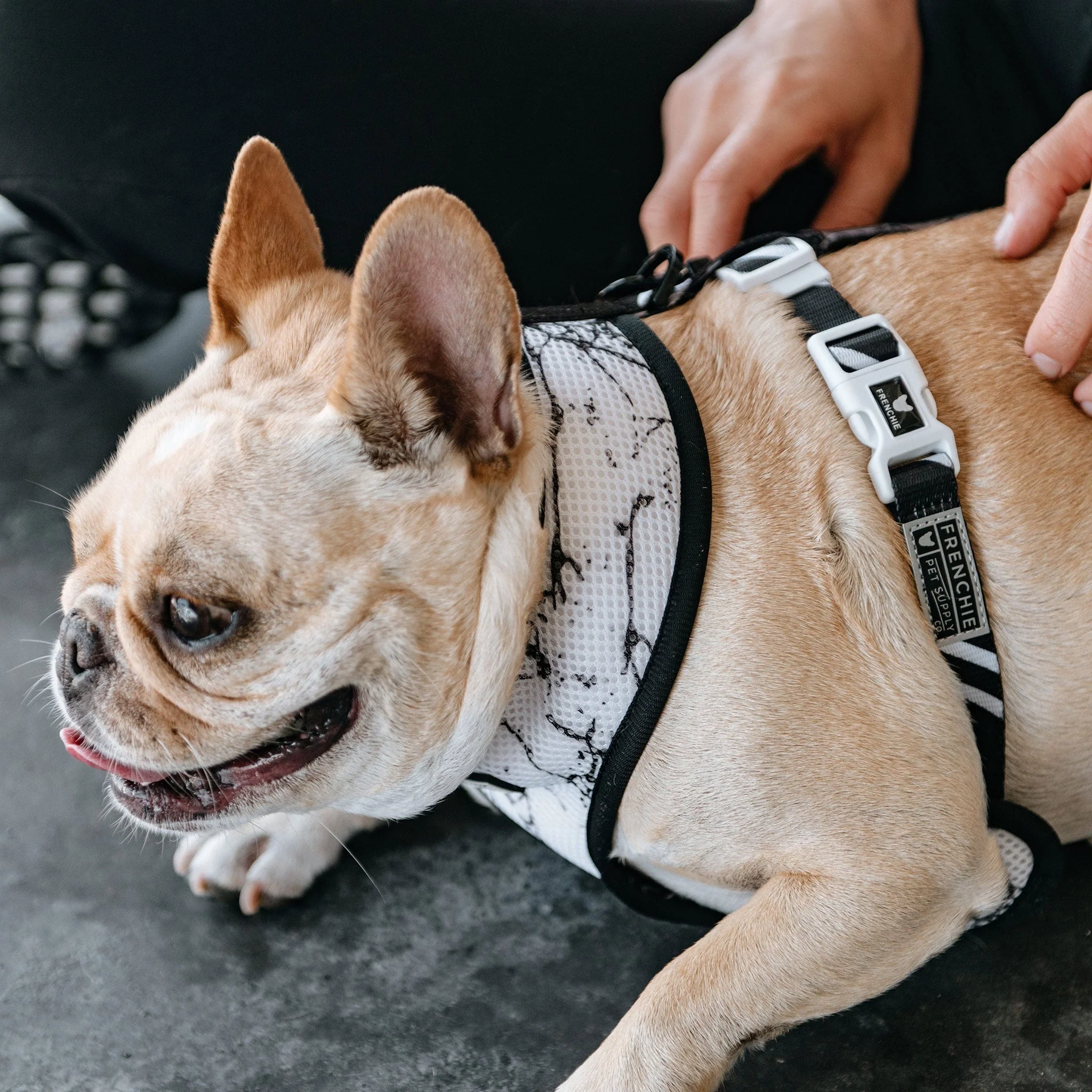 Frenchie Duo Reversible Harness - Black Marble - Image 6
