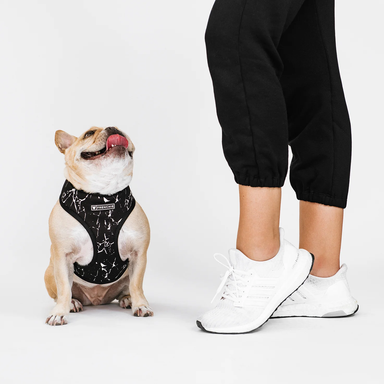 Frenchie Duo Reversible Harness - Black Marble - Image 7