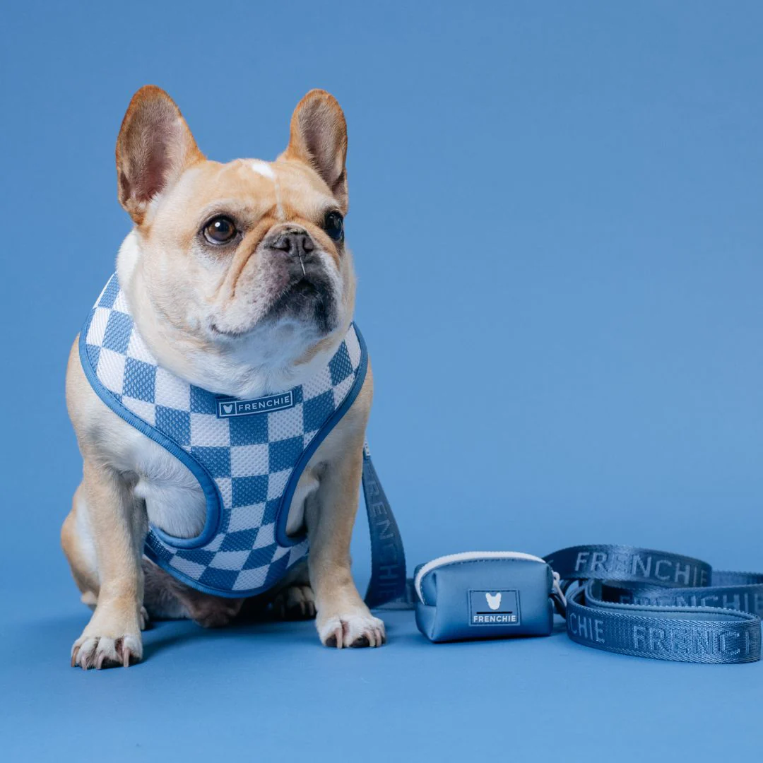 Frenchie Duo Reversible Harness - Solid Blue Steel - Image 3