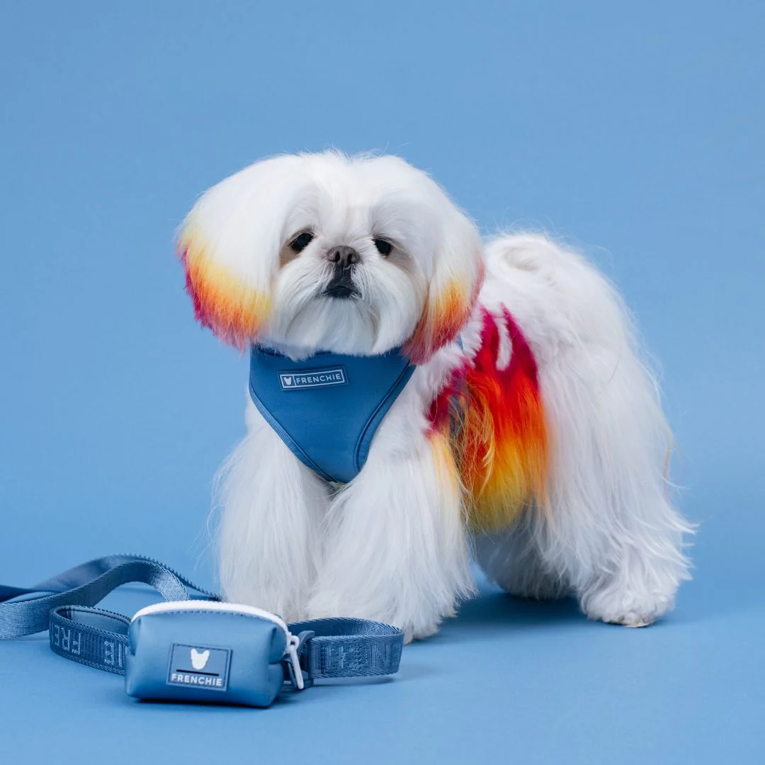 Frenchie Duo Reversible Harness - Solid Blue Steel - Image 4