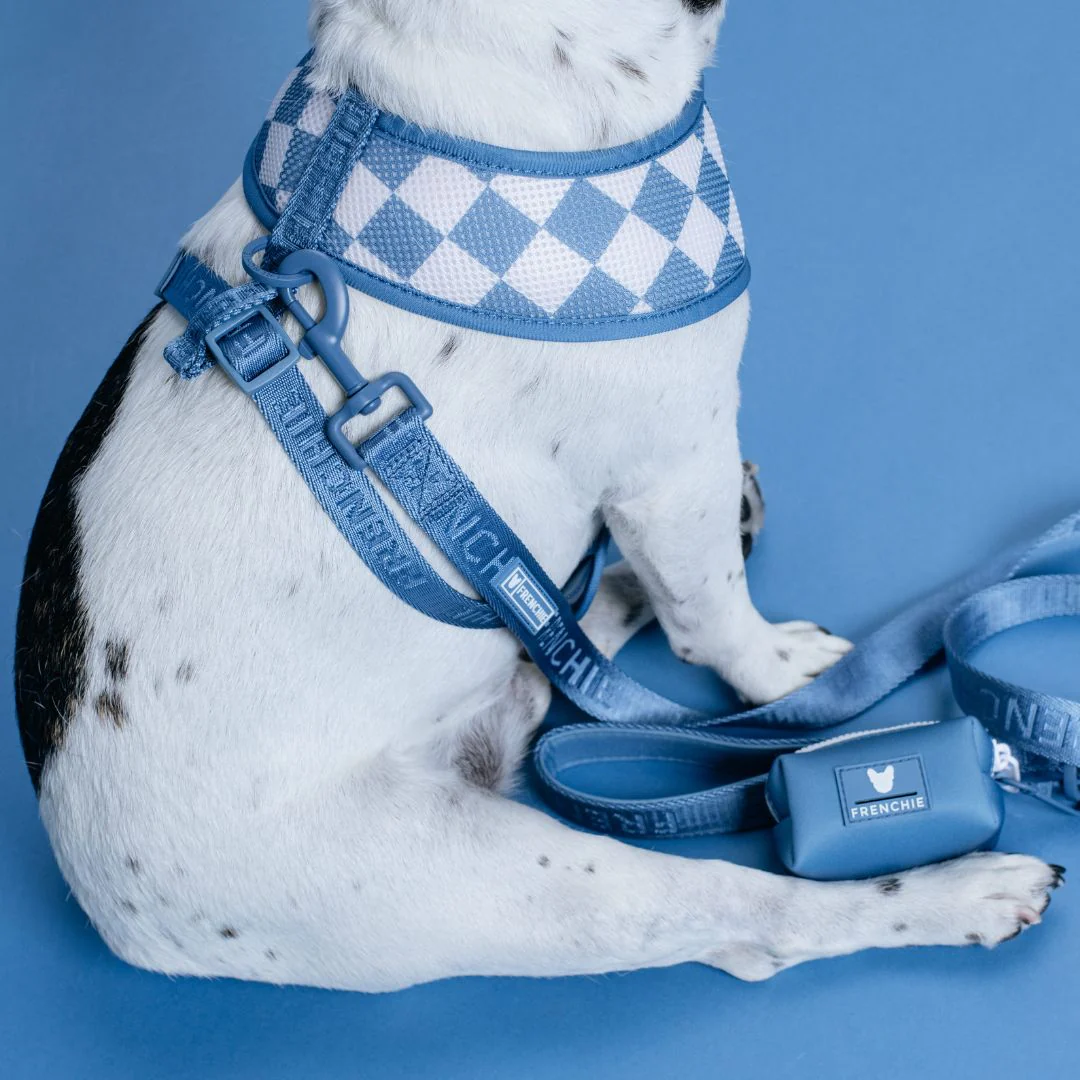 Frenchie Duo Reversible Harness - Solid Blue Steel - Image 5