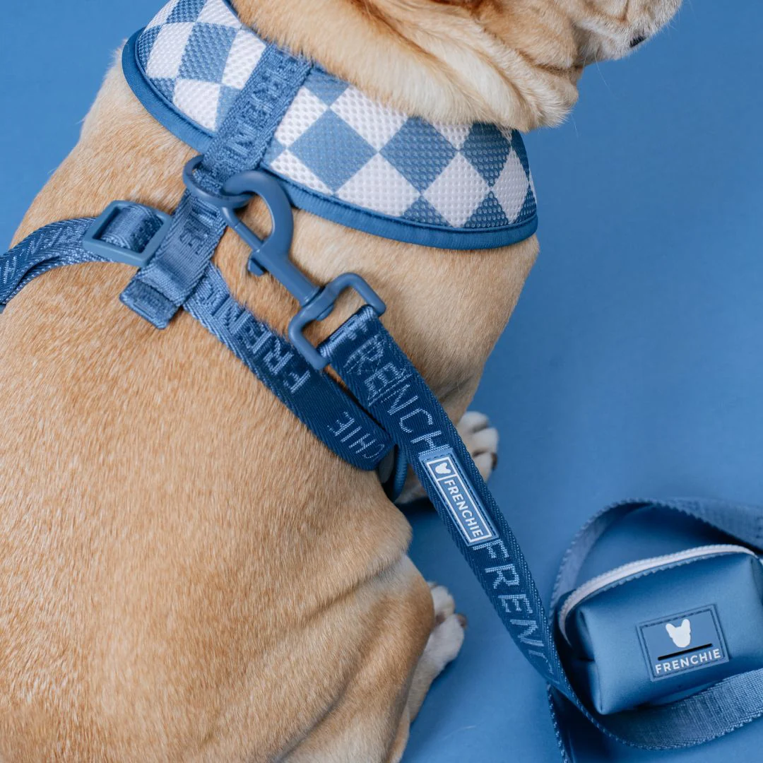 Frenchie Duo Reversible Harness - Solid Blue Steel - Image 6