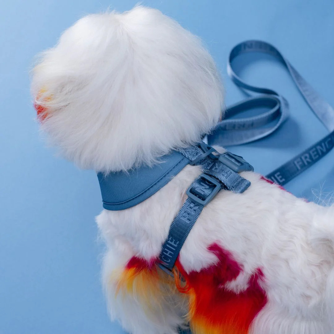 Frenchie Duo Reversible Harness - Solid Blue Steel - Image 7