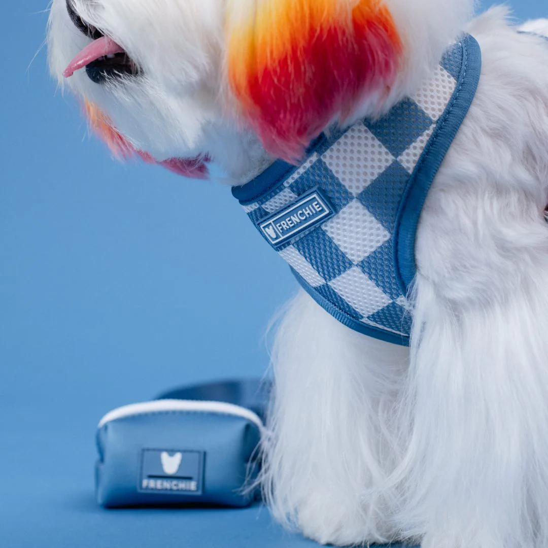 Frenchie Duo Reversible Harness - Solid Blue Steel - Image 8