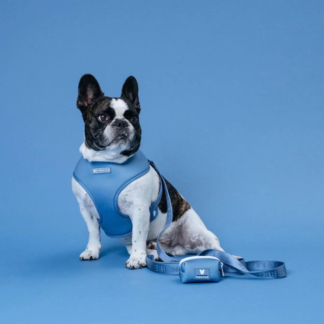 Frenchie Duo Reversible Harness - Solid Blue Steel - Image 9