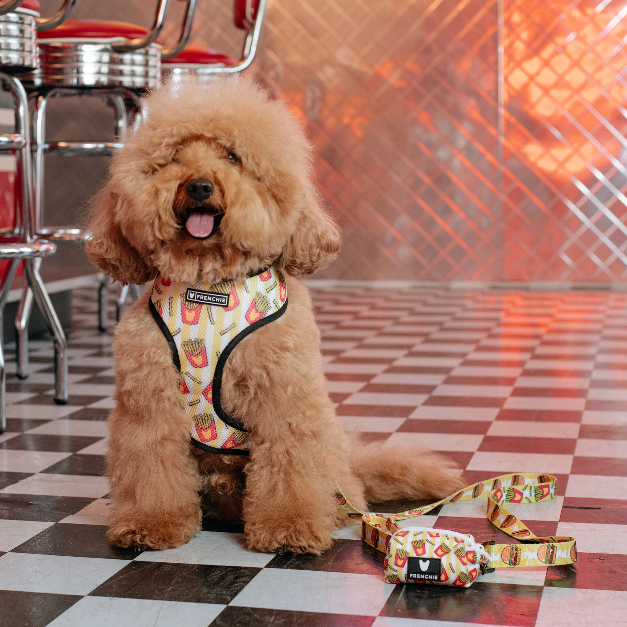 Frenchie Duo Reversible Harness - Burger N Fries - Image 5