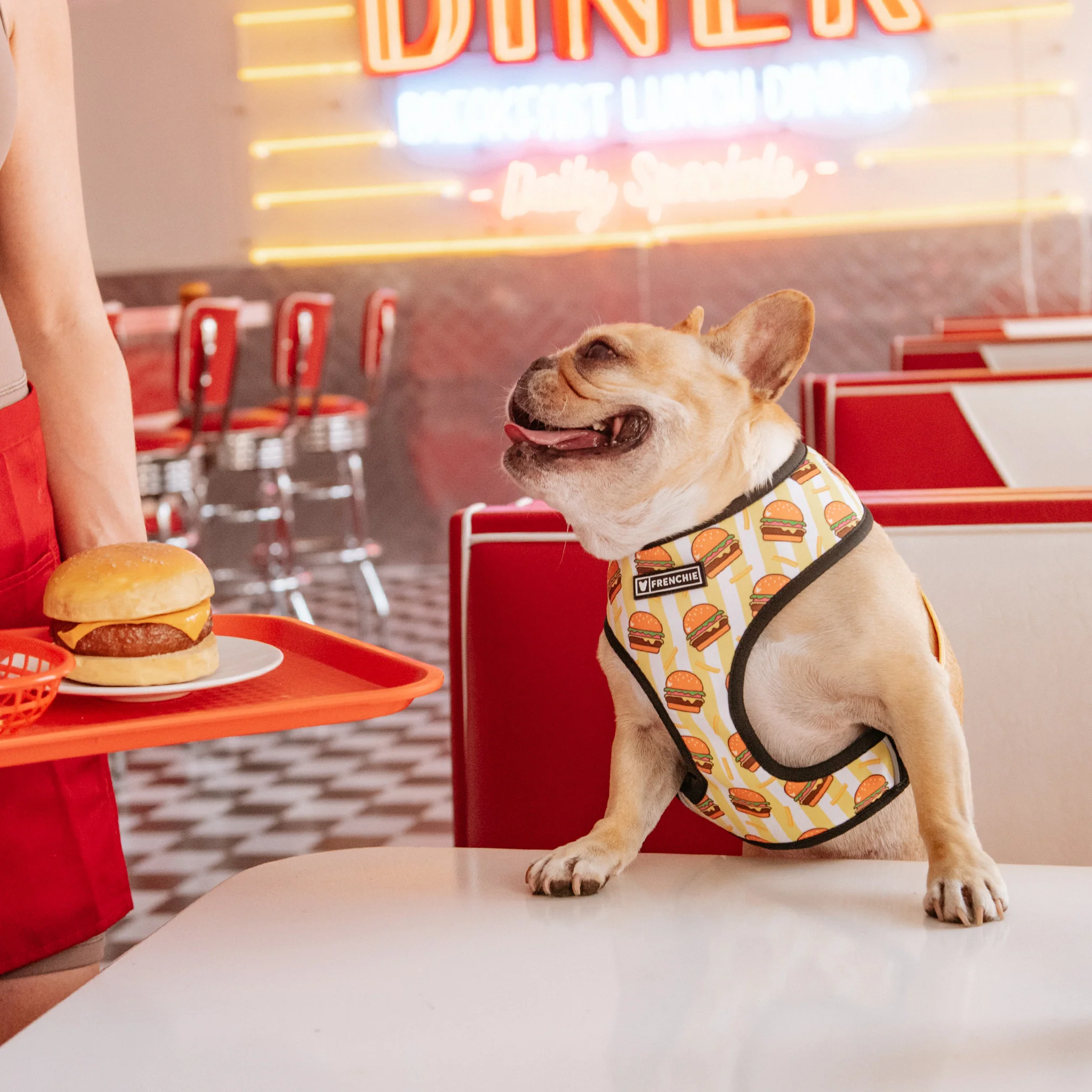Frenchie Duo Reversible Harness - Burger N Fries - Image 6