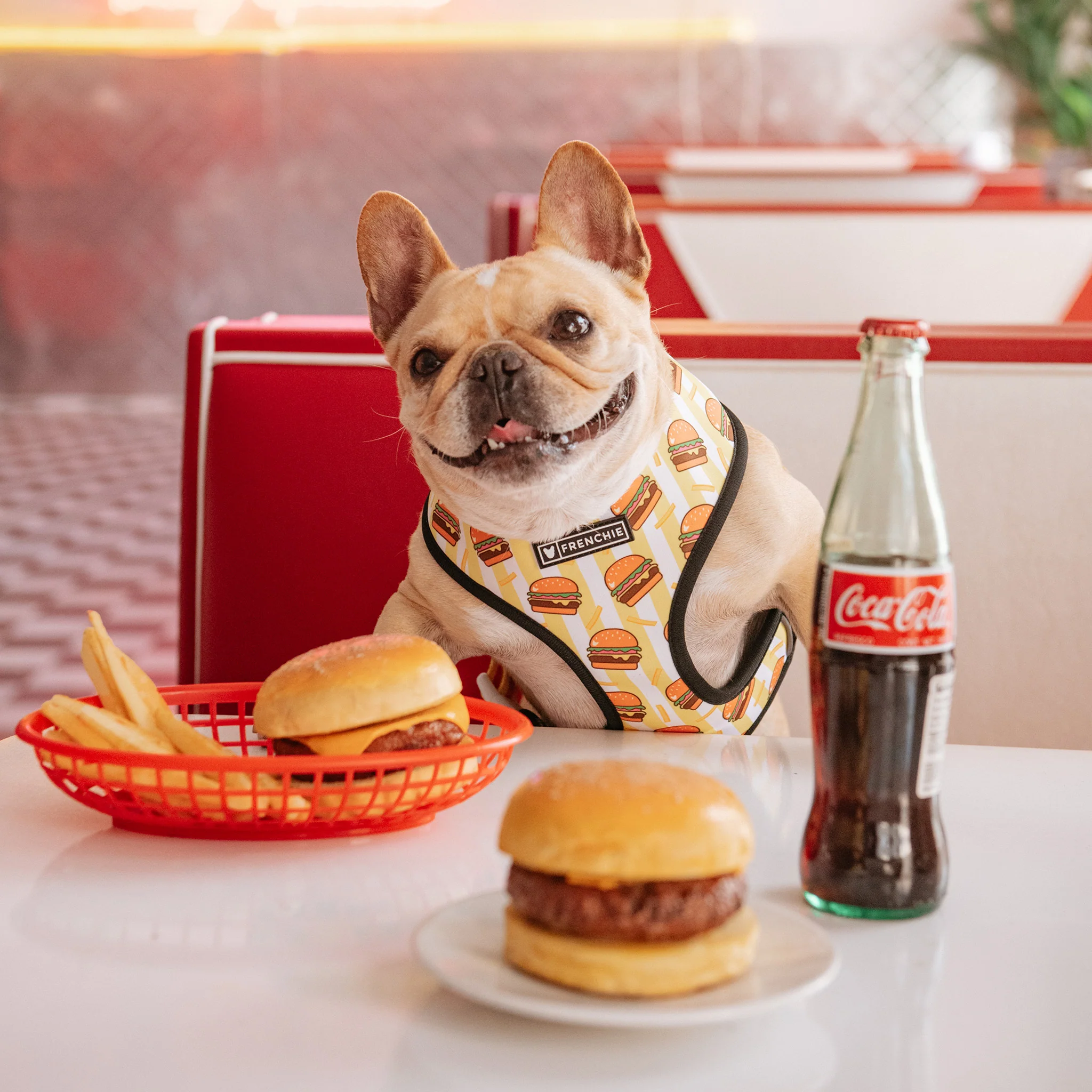 Frenchie Duo Reversible Harness - Burger N Fries - Image 7