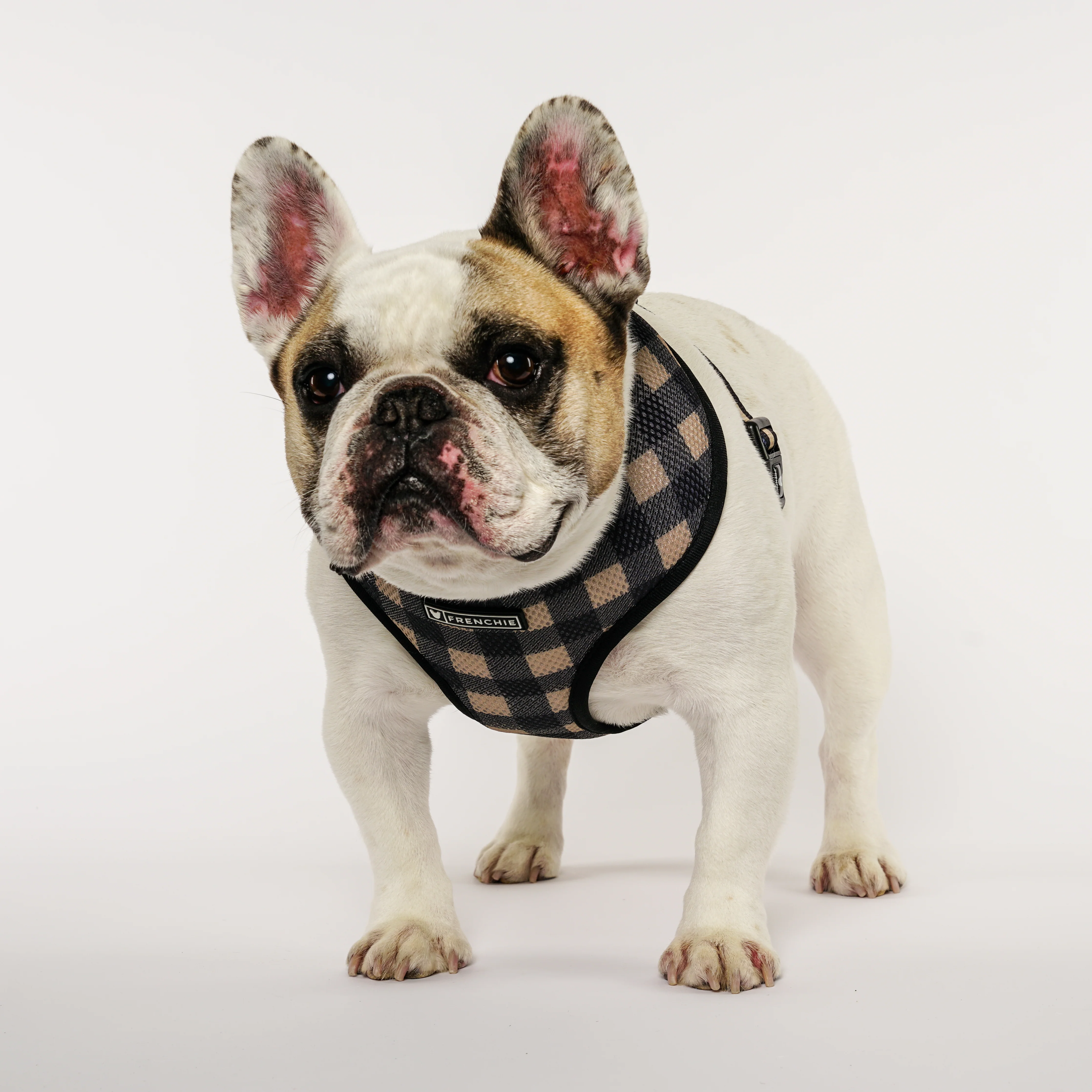 Frenchie Duo Reversible Harness - Cabin Plaid - Image 3