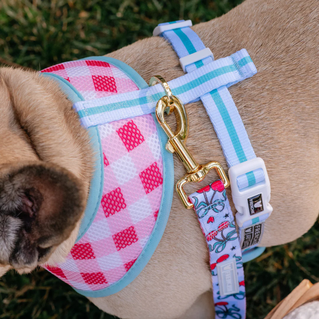 Frenchie Duo Reversible Harness - Cherries Blue - Image 3