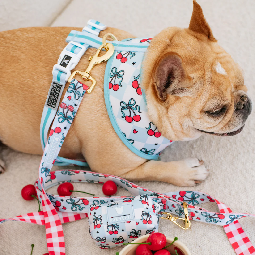 Frenchie Duo Reversible Harness - Cherries Blue - Image 4