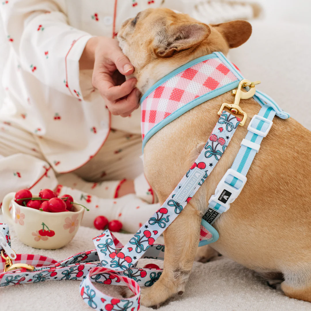 Frenchie Duo Reversible Harness - Cherries Blue - Image 7