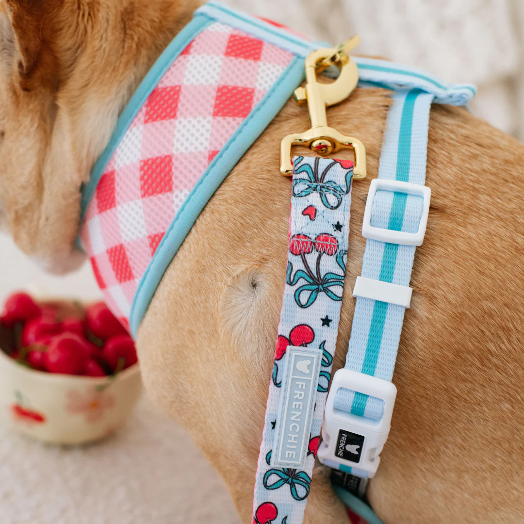 Frenchie Duo Reversible Harness - Cherries Blue - Image 9