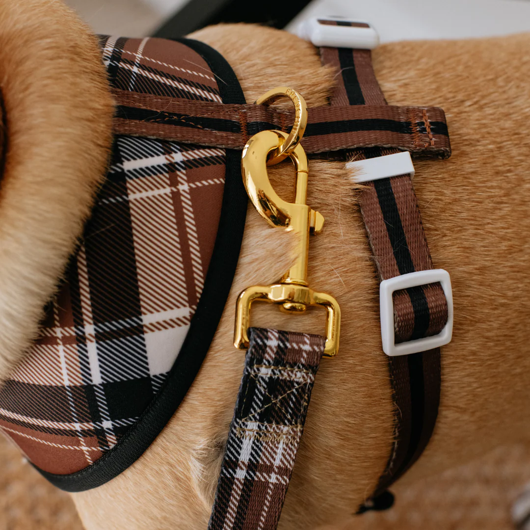 Frenchie Duo Reversible Harness - Cocoa Plaid - Image 10