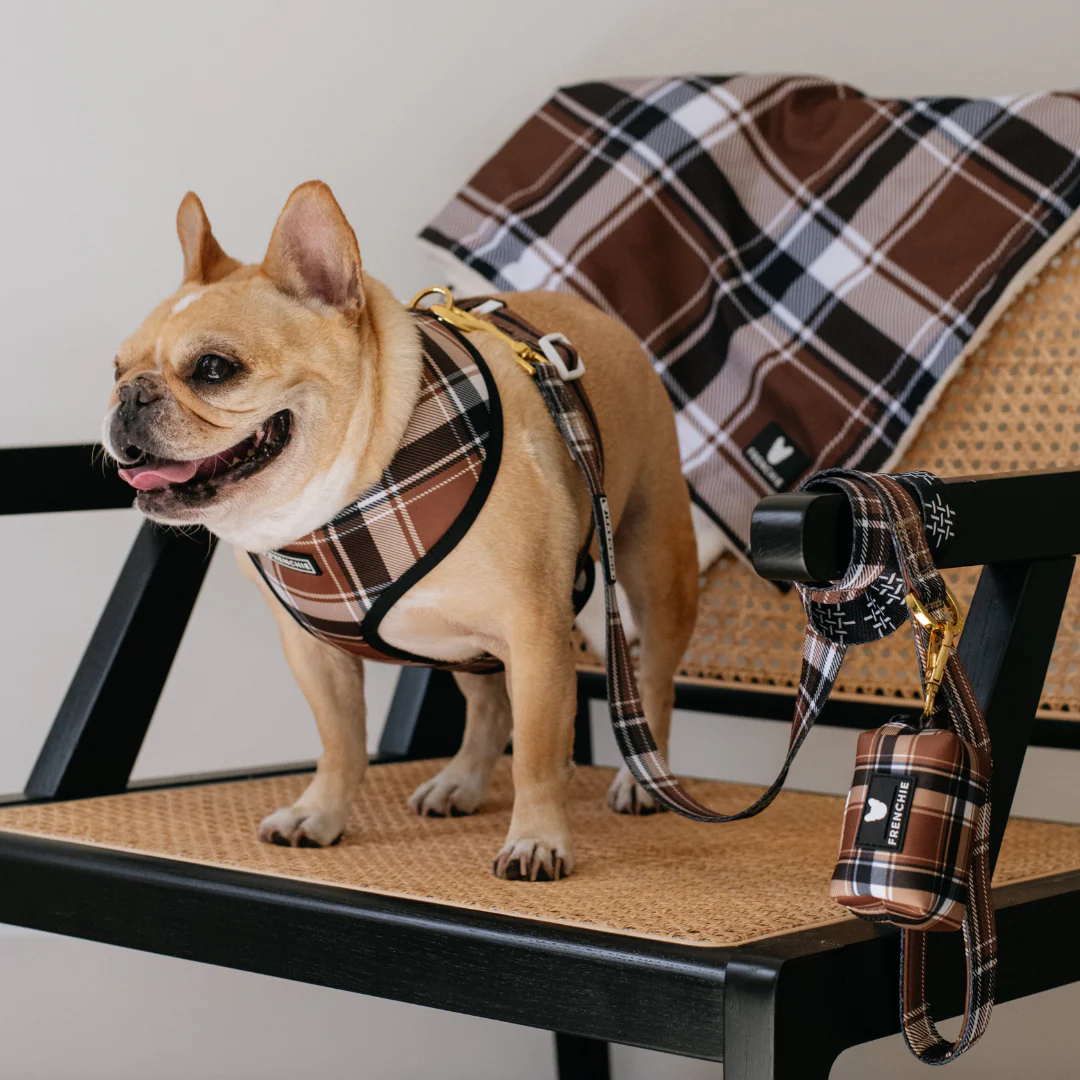Frenchie Duo Reversible Harness - Cocoa Plaid - Image 11