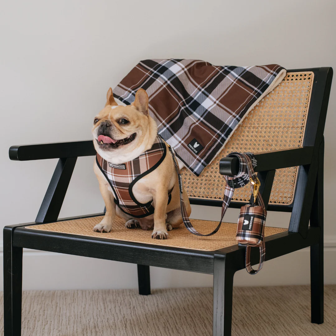 Frenchie Duo Reversible Harness - Cocoa Plaid - Image 2