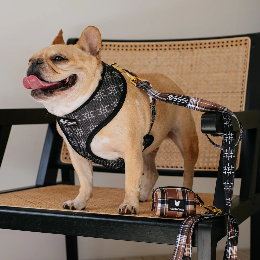 Frenchie Duo Reversible Harness - Cocoa Plaid - Image 3