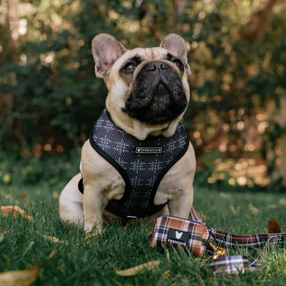 Frenchie Duo Reversible Harness - Cocoa Plaid - Image 6