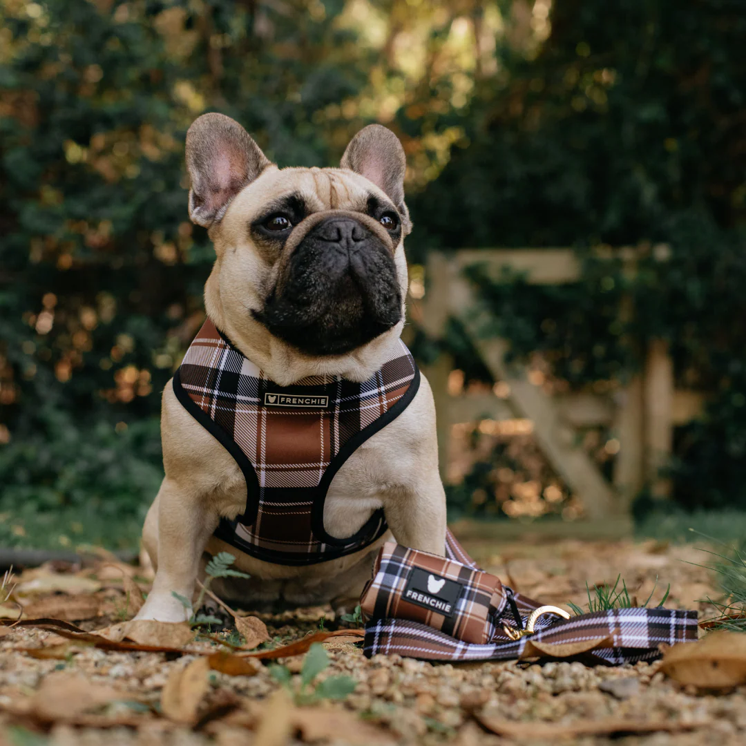 Frenchie Duo Reversible Harness - Cocoa Plaid - Image 9