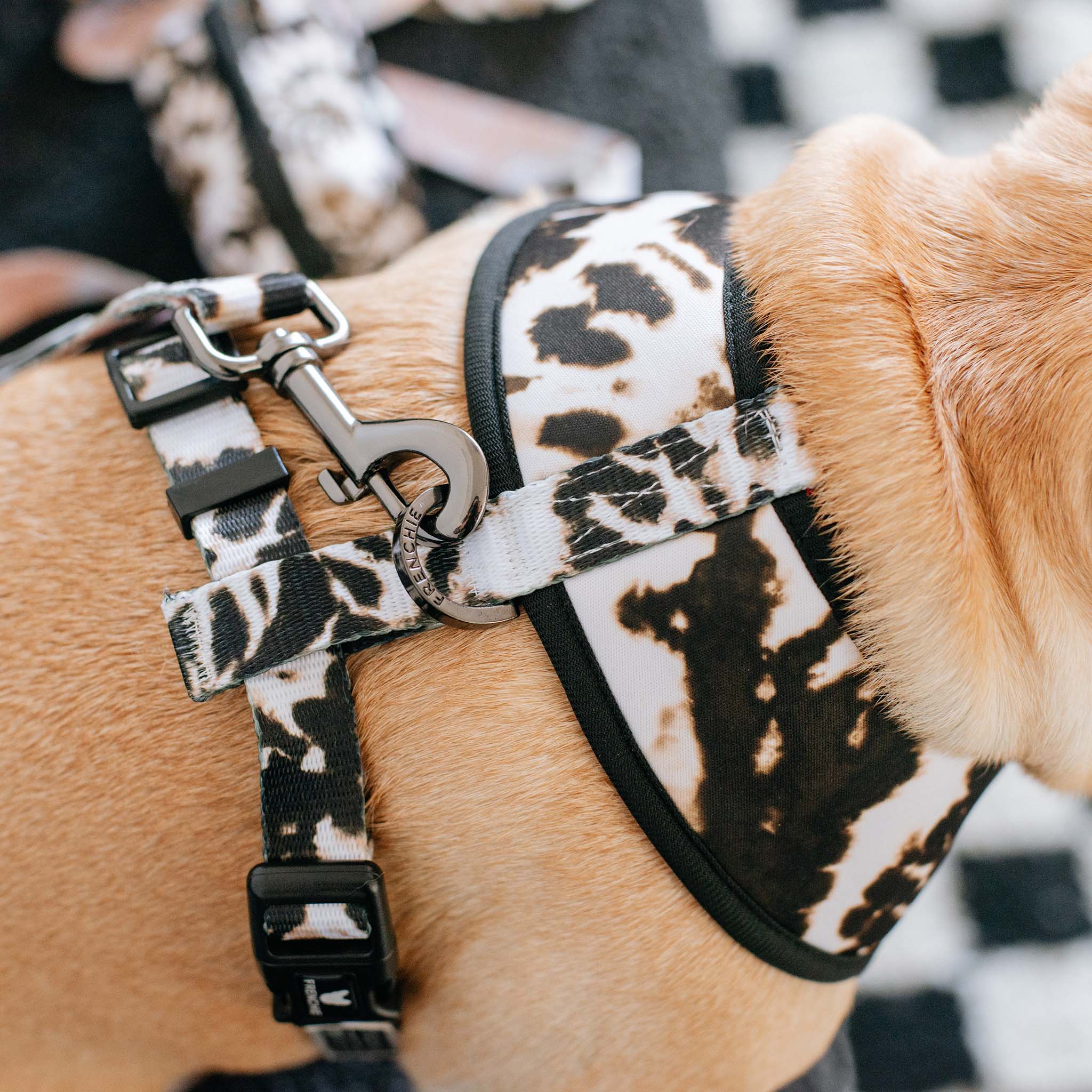 Frenchie Duo Reversible Harness - Earthy Tie Dye - Image 4