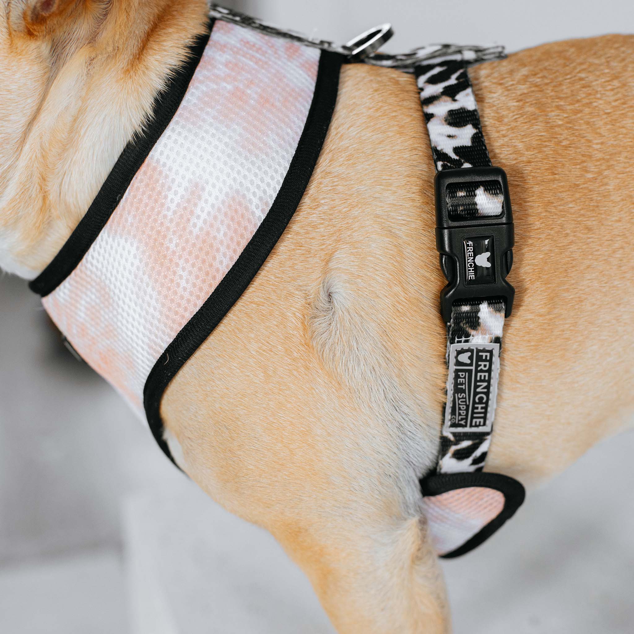 Frenchie Duo Reversible Harness - Earthy Tie Dye - Image 5