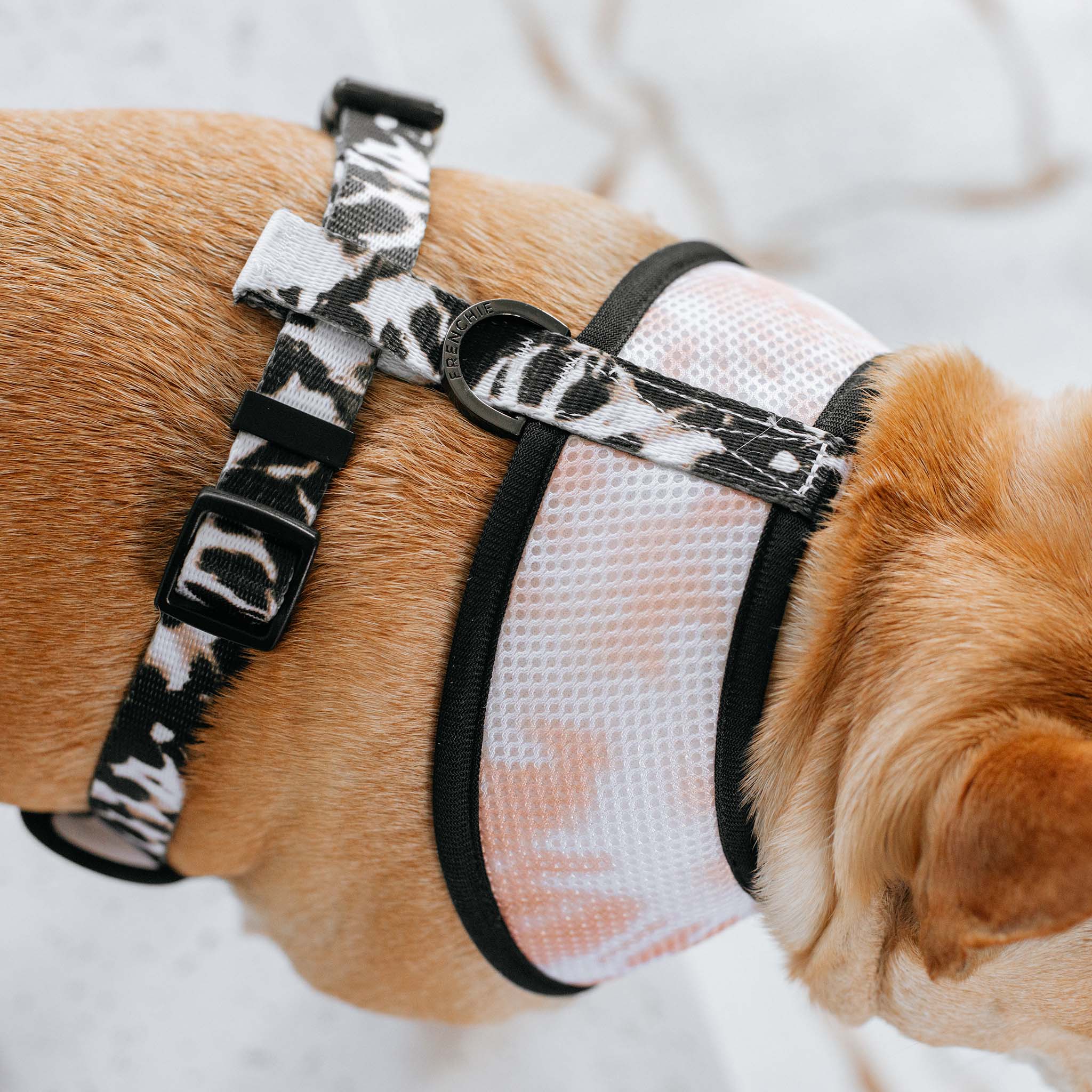 Frenchie Duo Reversible Harness - Earthy Tie Dye - Image 6