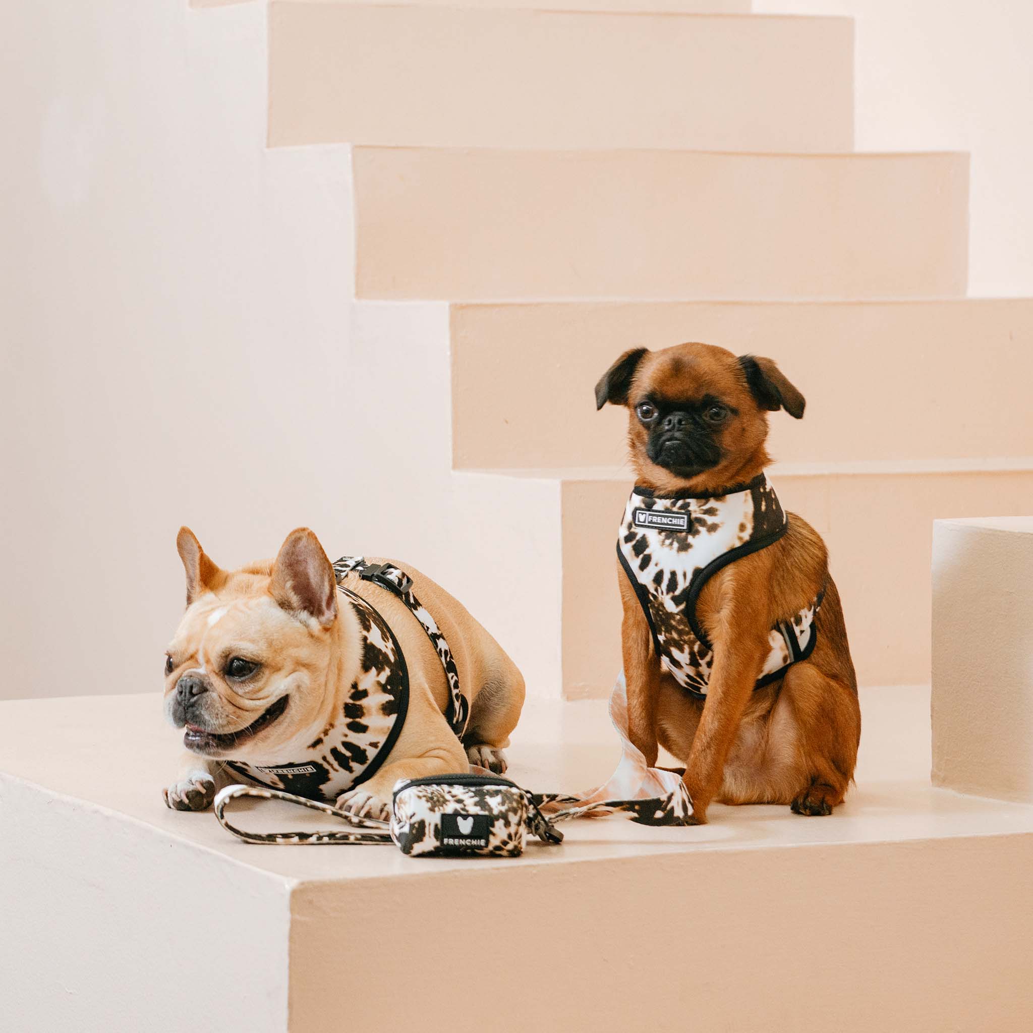 Frenchie Duo Reversible Harness - Earthy Tie Dye - Image 8