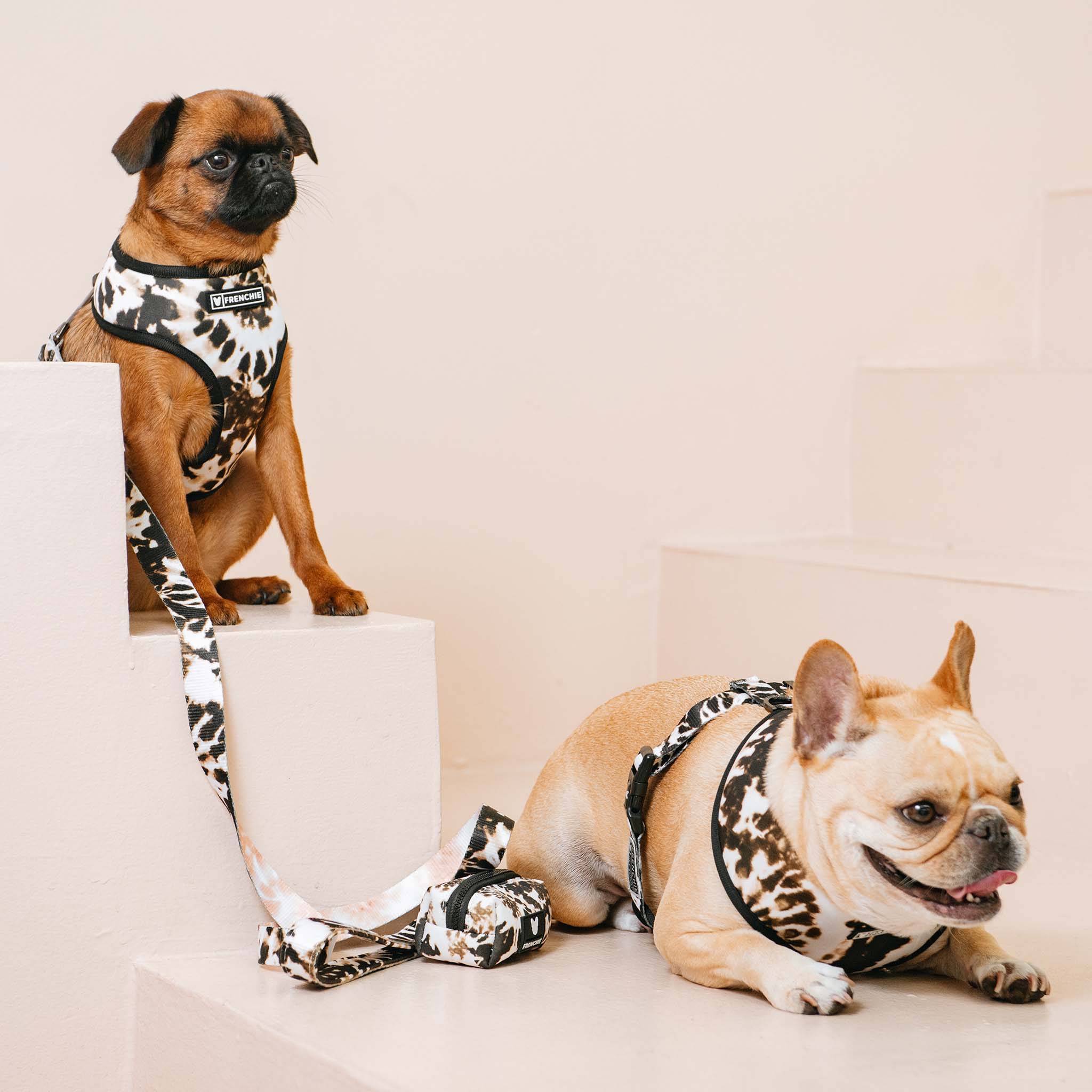 Frenchie Duo Reversible Harness - Earthy Tie Dye - Image 9