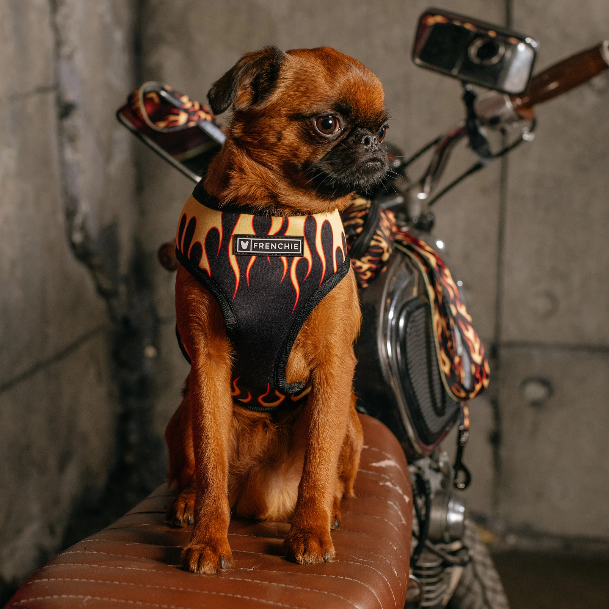 Frenchie Duo Reversible Harness - Flames (Orange) - Image 2