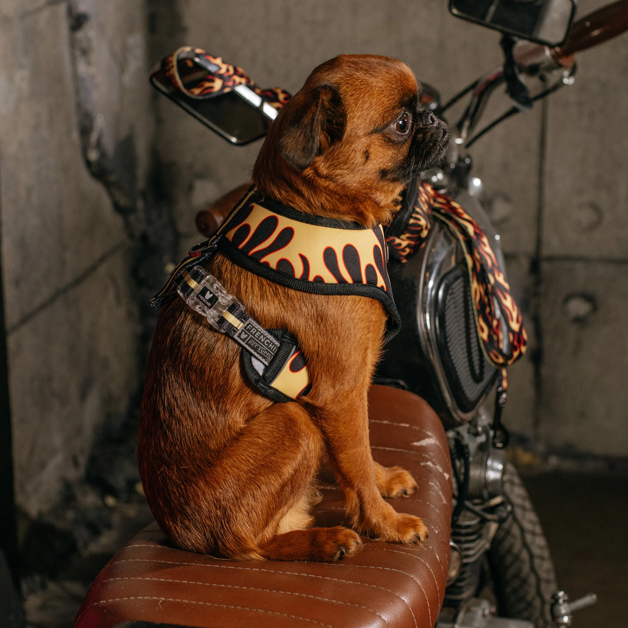 Frenchie Duo Reversible Harness - Flames (Orange) - Image 3