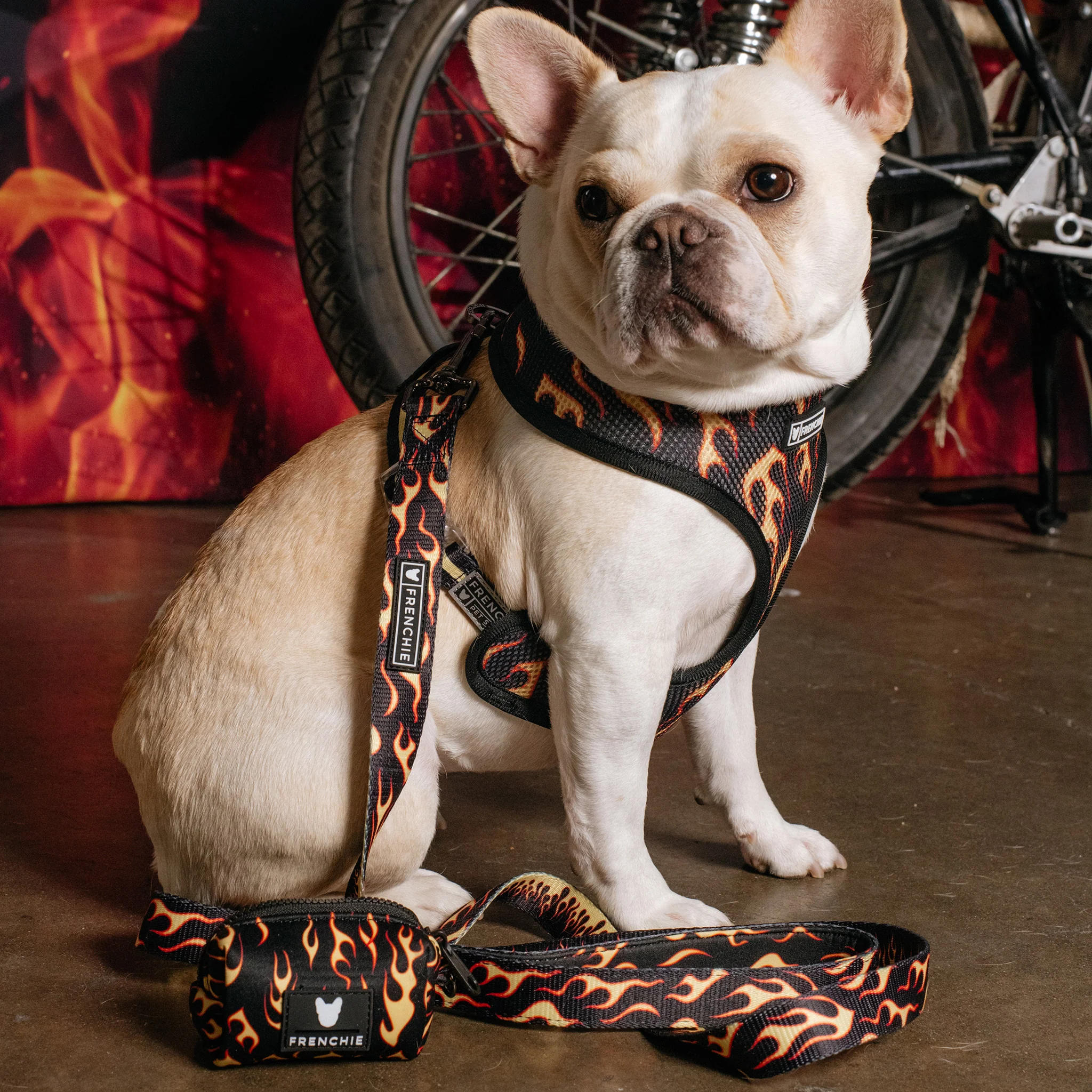 Frenchie Duo Reversible Harness - Flames (Orange) - Image 7