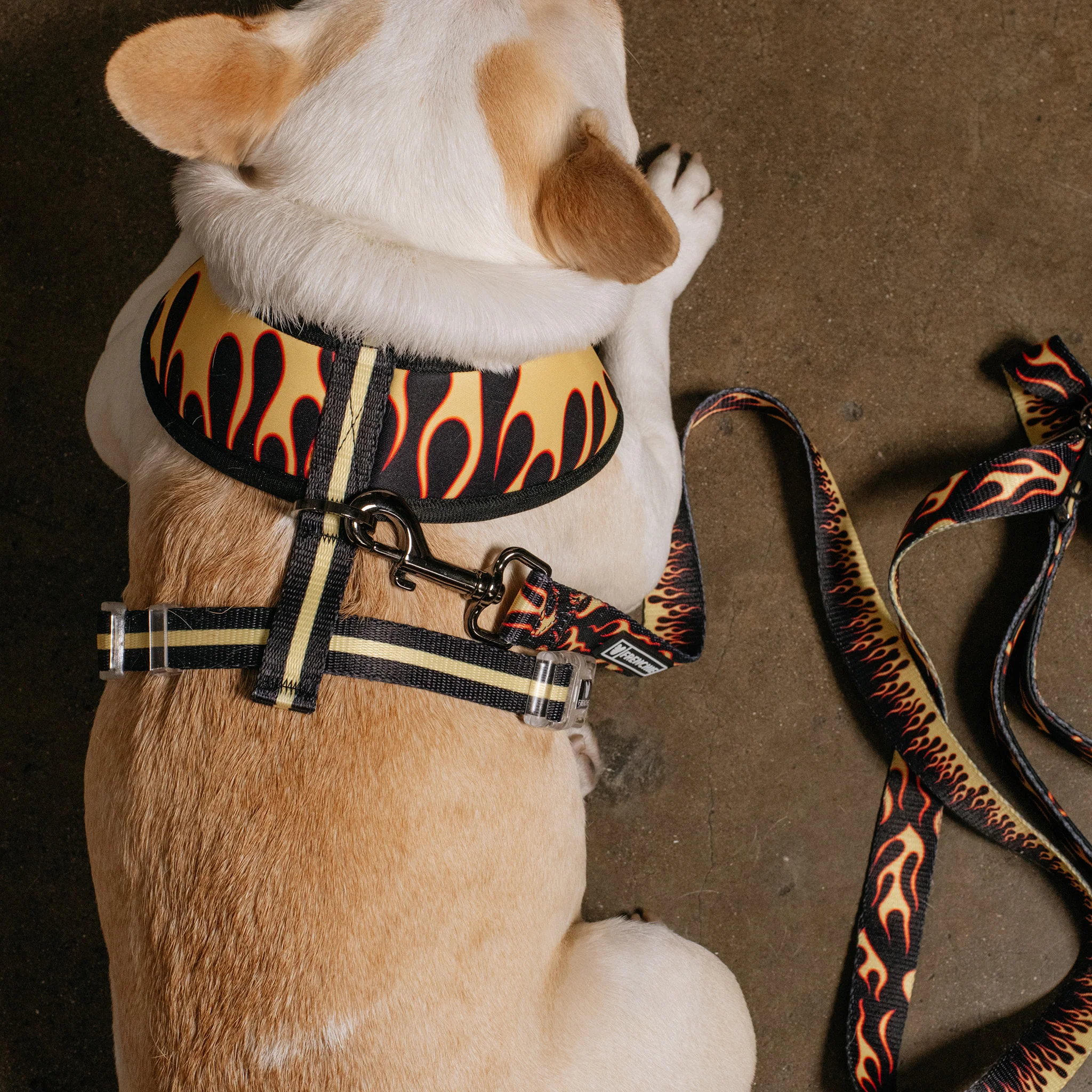 Frenchie Duo Reversible Harness - Flames (Orange) - Image 8