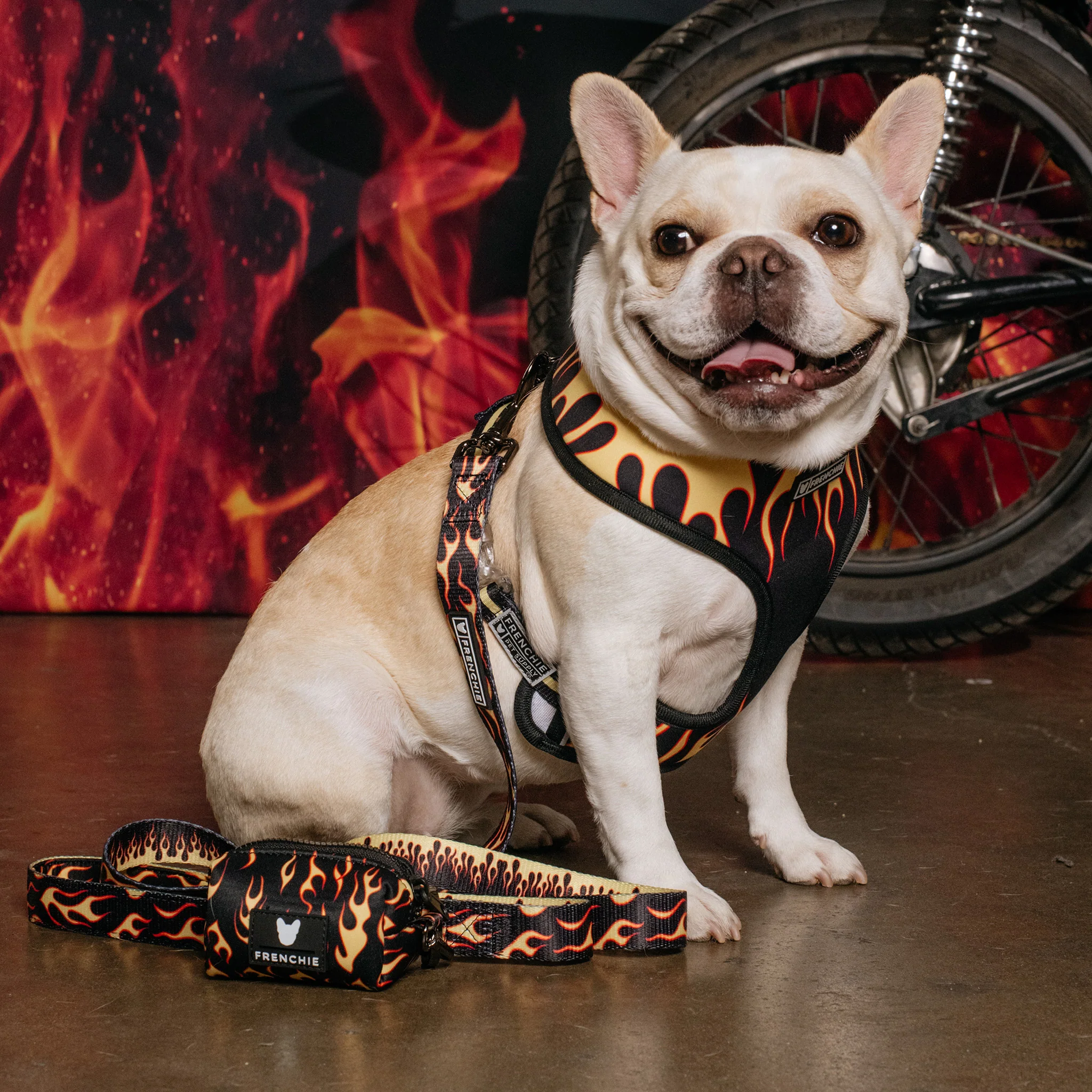 Frenchie Duo Reversible Harness - Flames (Orange) - Image 9