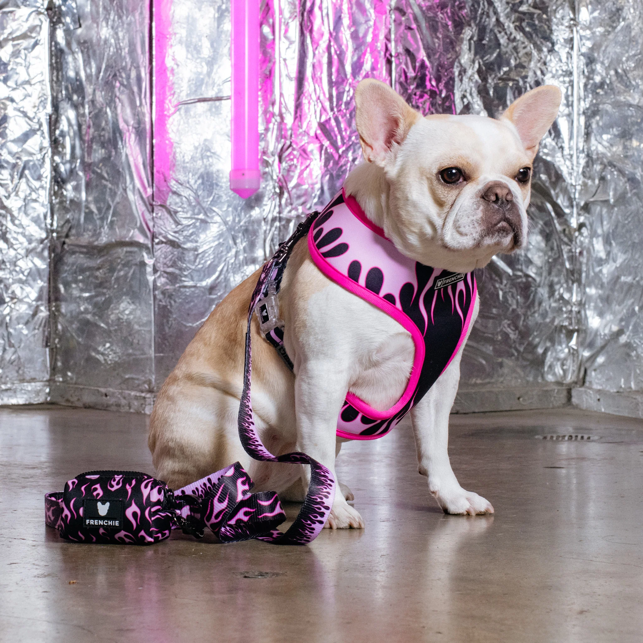 Frenchie Duo Reversible Harness - Flames (Pink) - Image 10