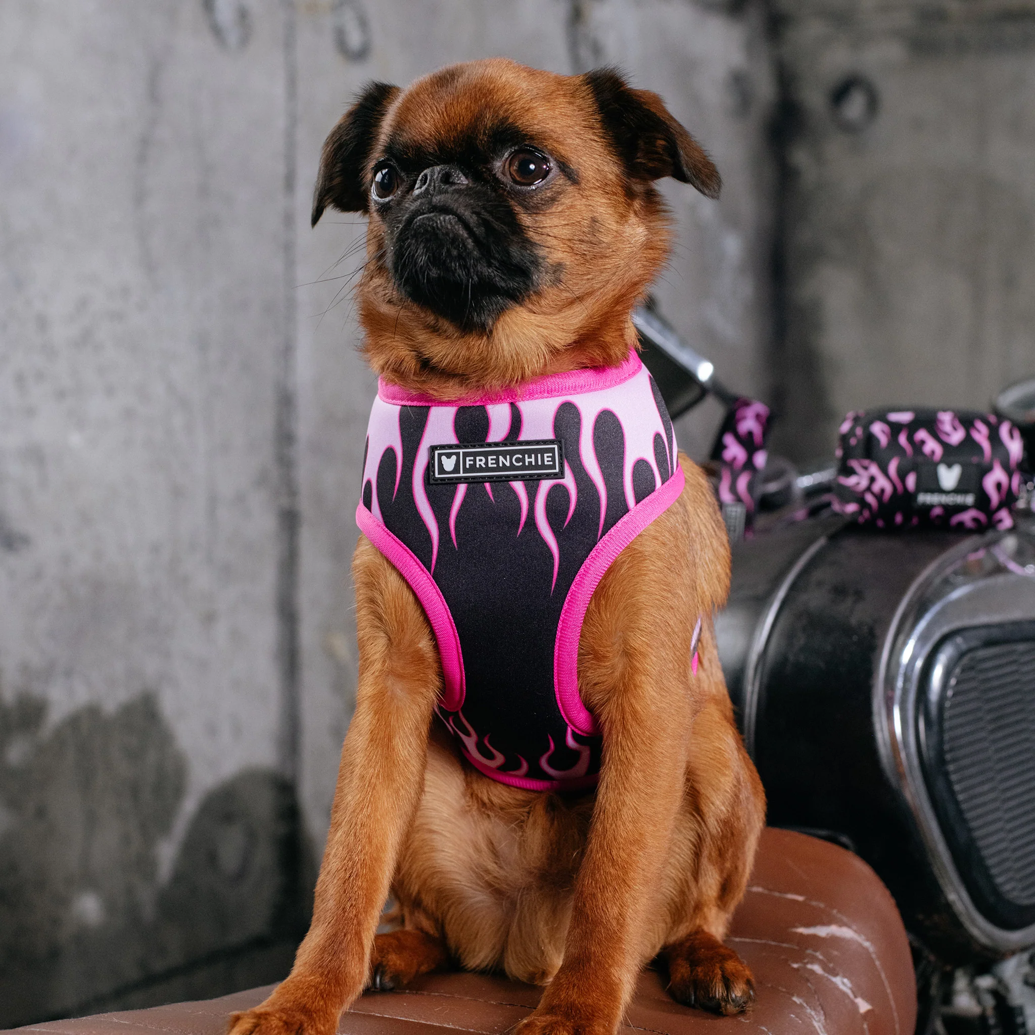 Frenchie Duo Reversible Harness - Flames (Pink) - Image 2