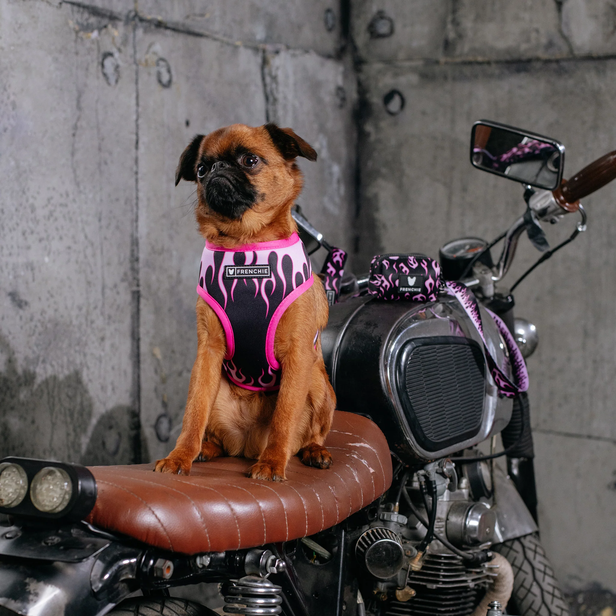 Frenchie Duo Reversible Harness - Flames (Pink) - Image 4