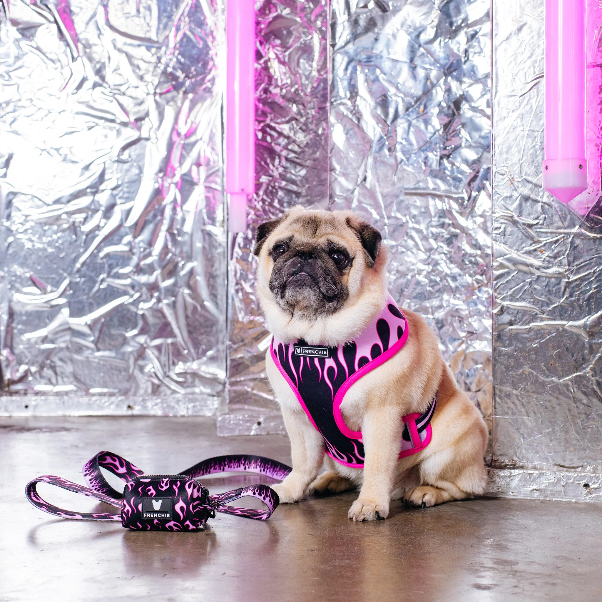 Frenchie Duo Reversible Harness - Flames (Pink) - Image 5