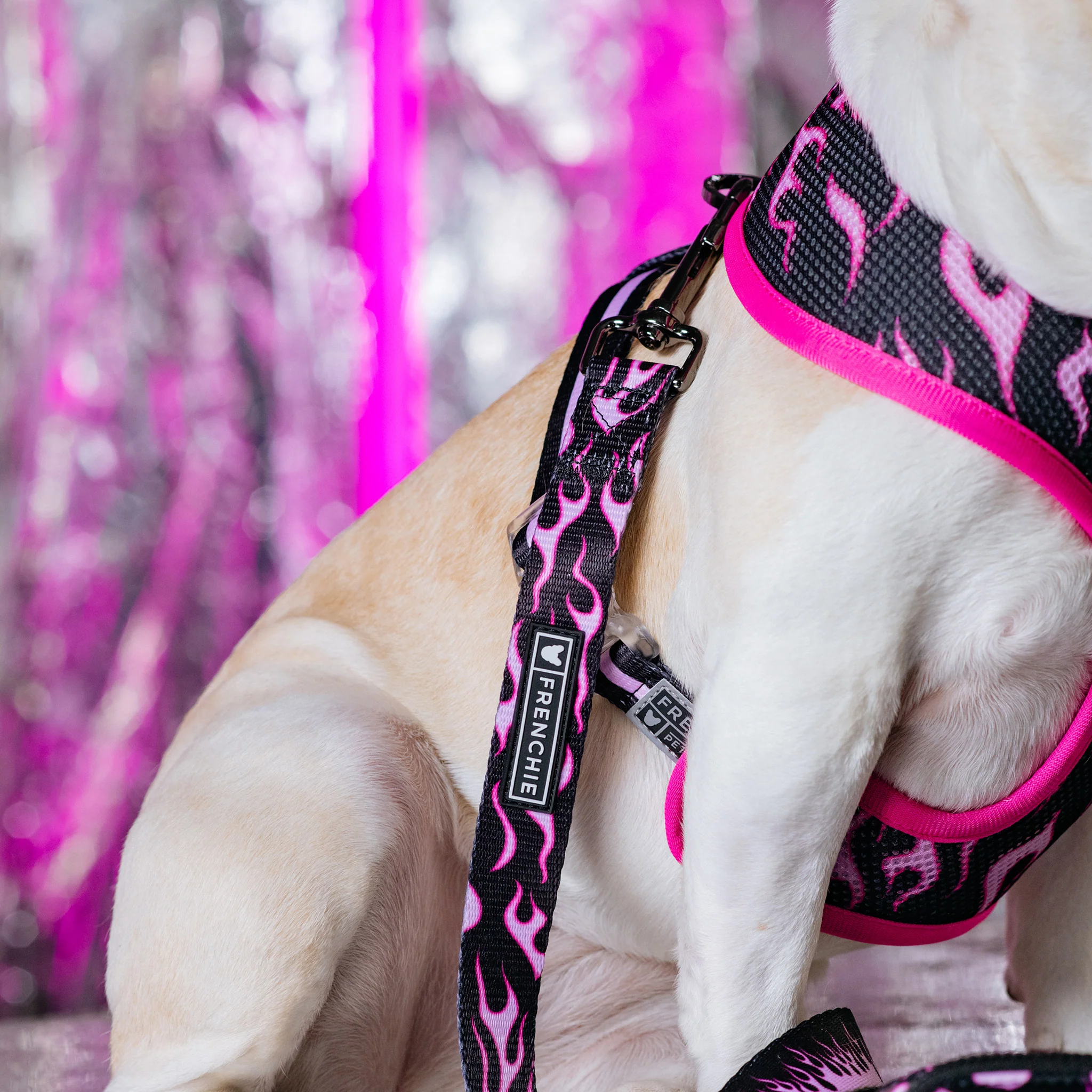 Frenchie Duo Reversible Harness - Flames (Pink) - Image 6