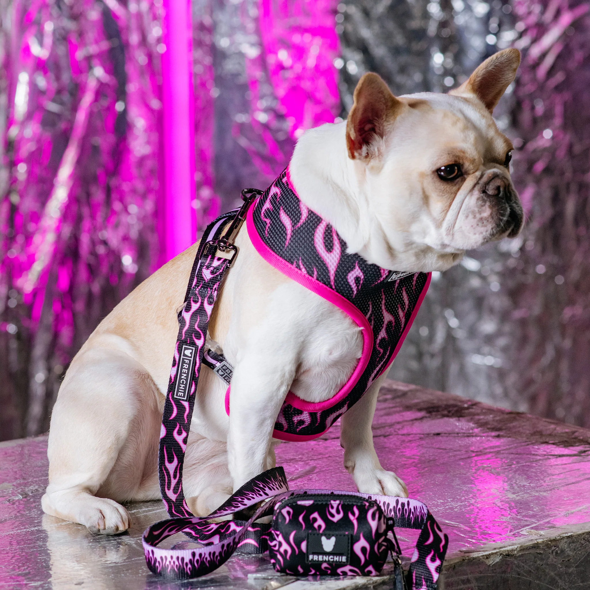 Frenchie Duo Reversible Harness - Flames (Pink) - Image 7