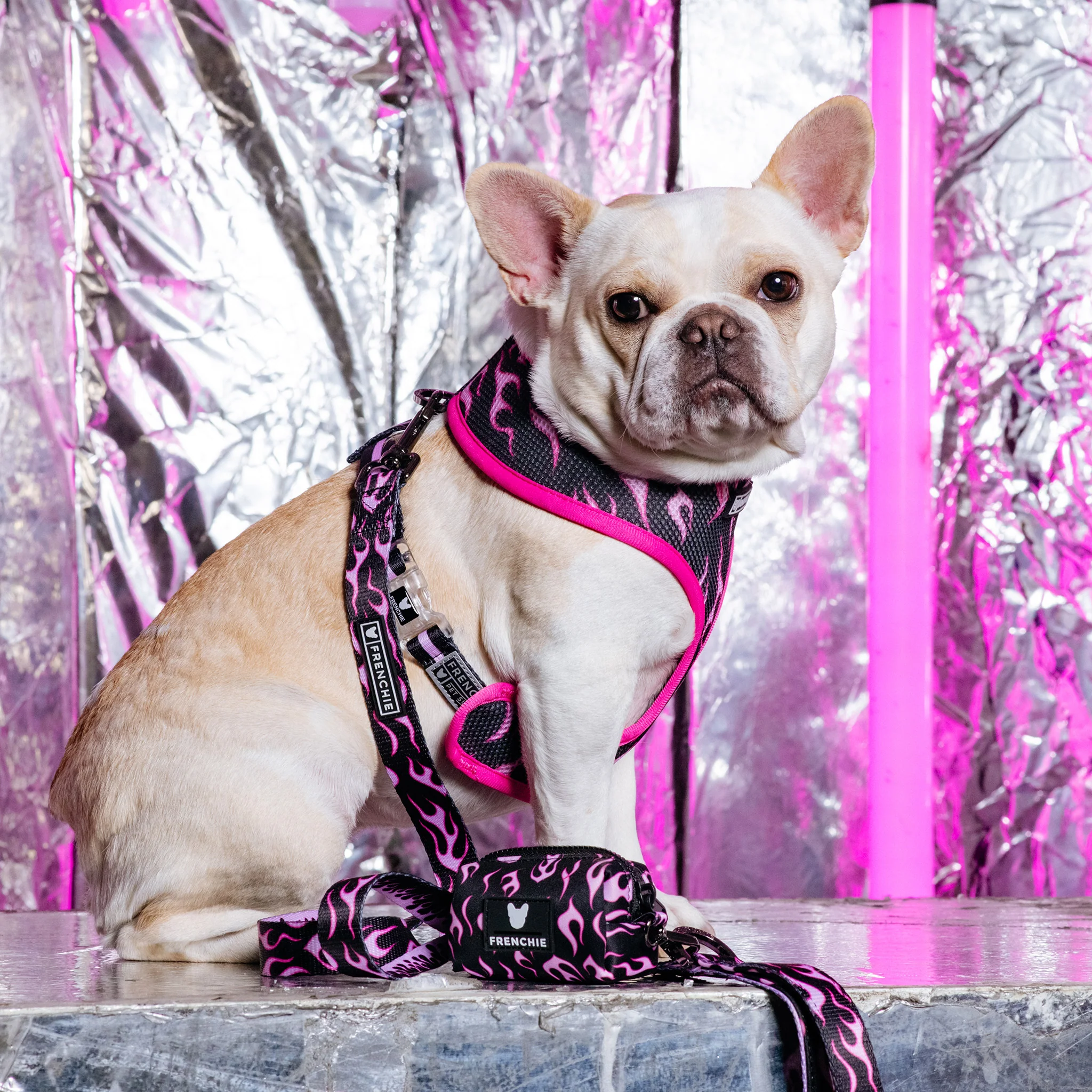 Frenchie Duo Reversible Harness - Flames (Pink) - Image 8