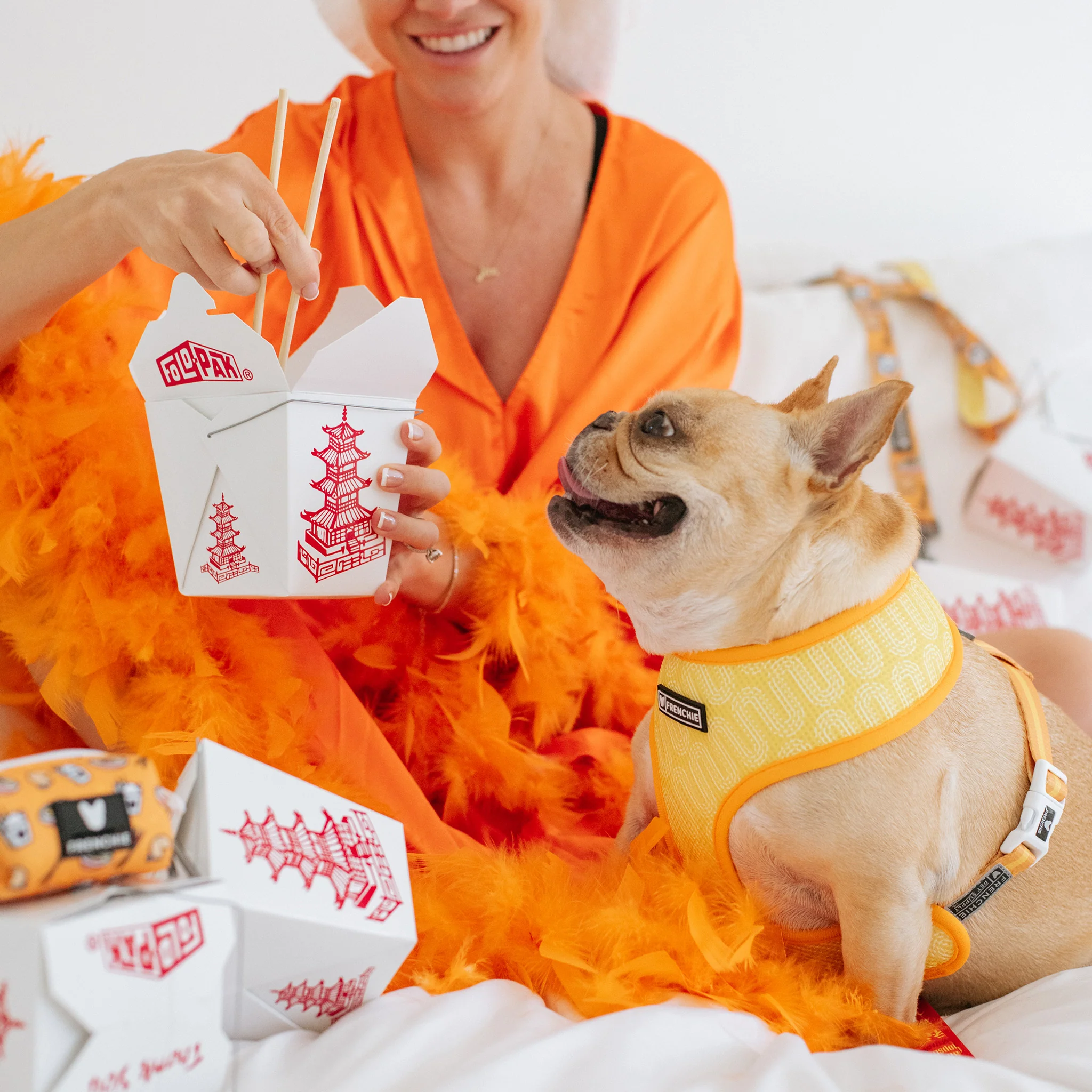 Frenchie Duo Reversible Harness - Frenchie Takeout - Image 10